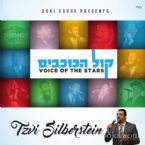 Tzvi Silberstein - Voice of the Stars (CD)